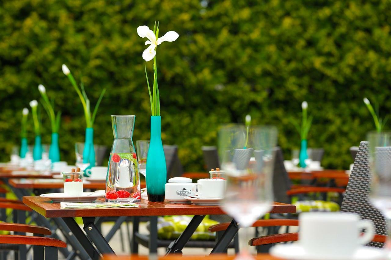 Hotel Villa-alexandra-mielenko 3*